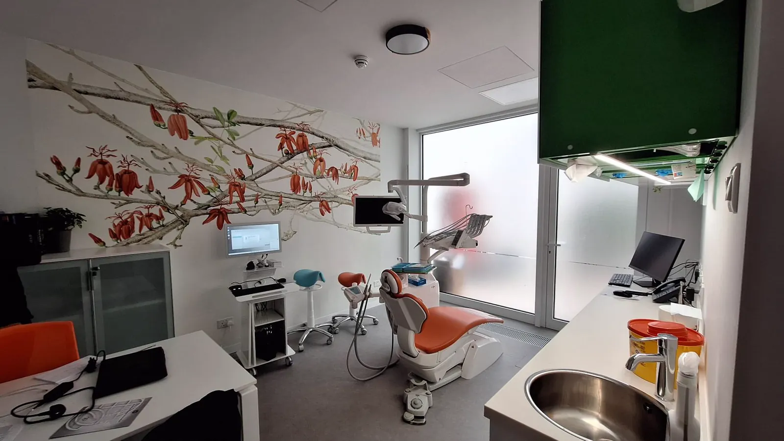 A treatment room at Apex Dental, with the painted branch on the wall